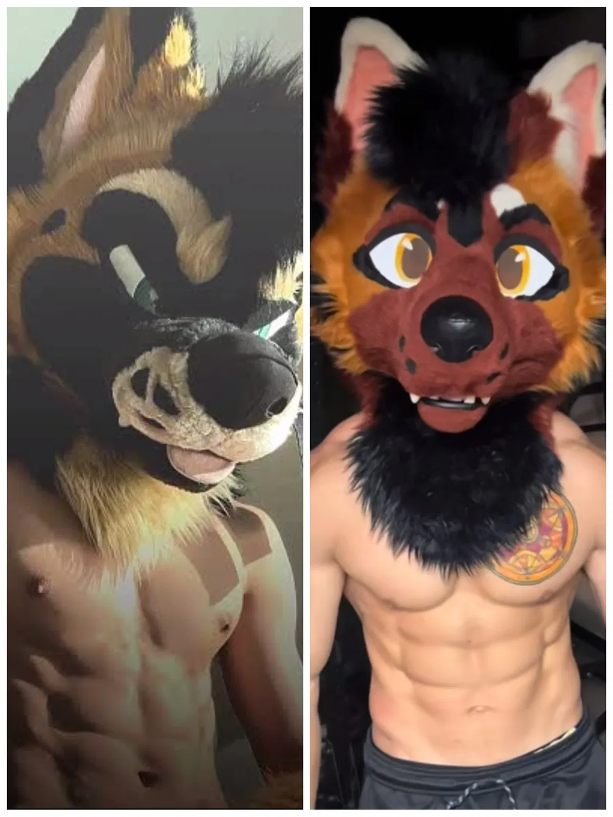 Avatar of Furcon hookup~ (MLM)