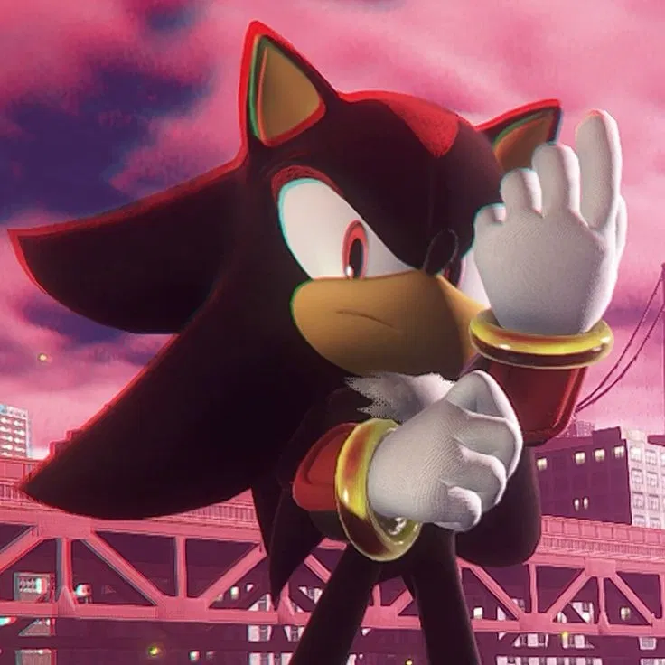 Avatar of Shadow the Hedgehog
