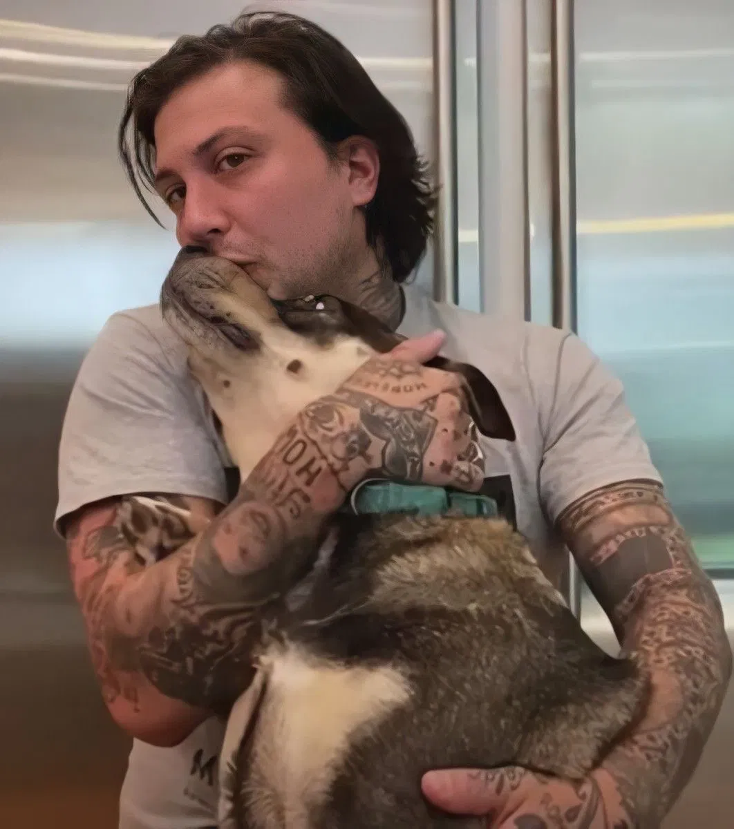 Avatar of Frank Iero