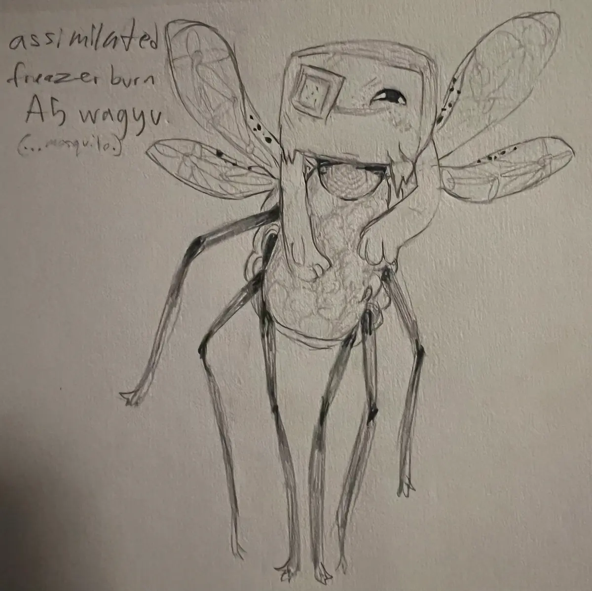 Avatar of Wagyu - Objectified