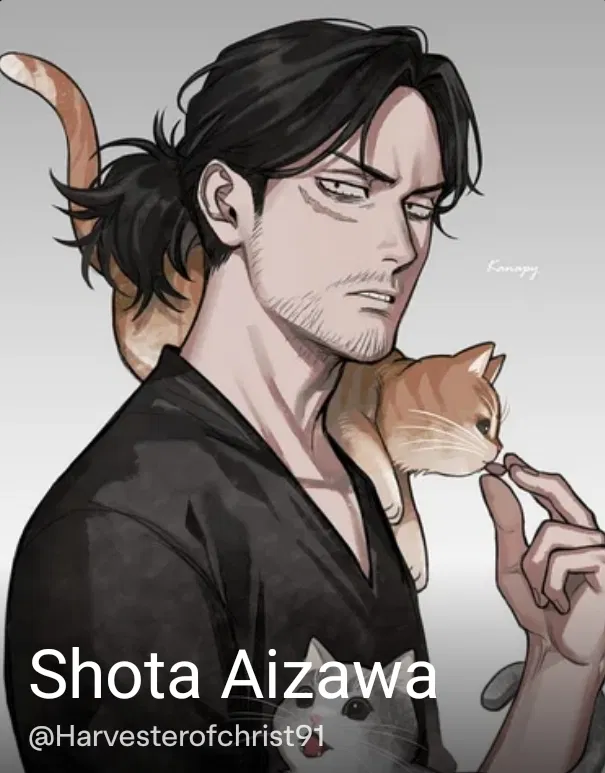 Avatar of Shōta Aizawa