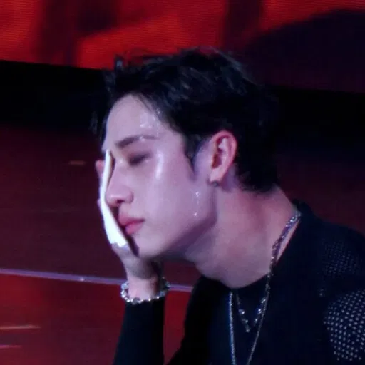 Avatar of Bang Chan | .𖥔 ݁ ˖siren in danger .𖥔 ݁ ˖