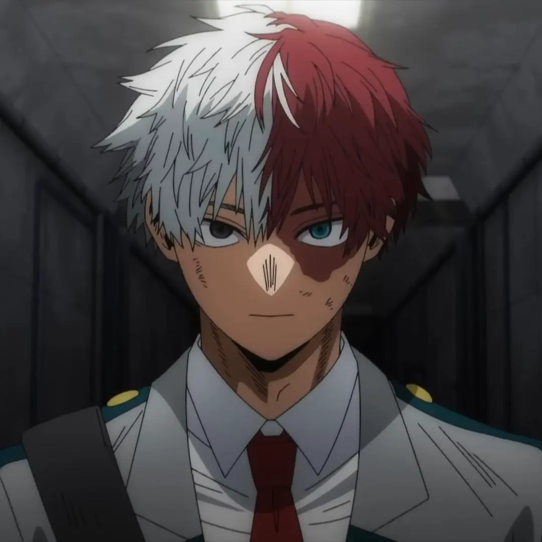 Avatar of Shoto Todoroki - Icy Hot