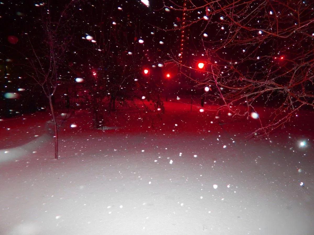 Avatar of Dave Strider | WINTER WONDERLAND