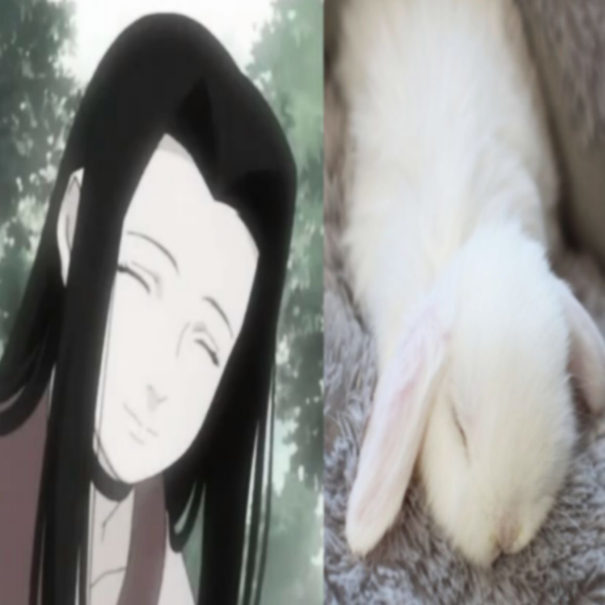 Avatar of Haku Yuki