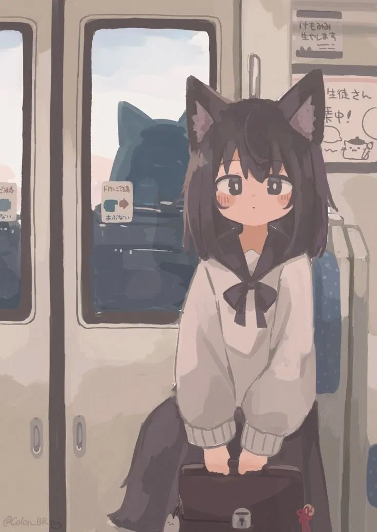Avatar of The Evening Train