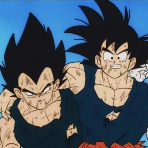 Avatar of [Eternal Rivals] Goku and Vegeta