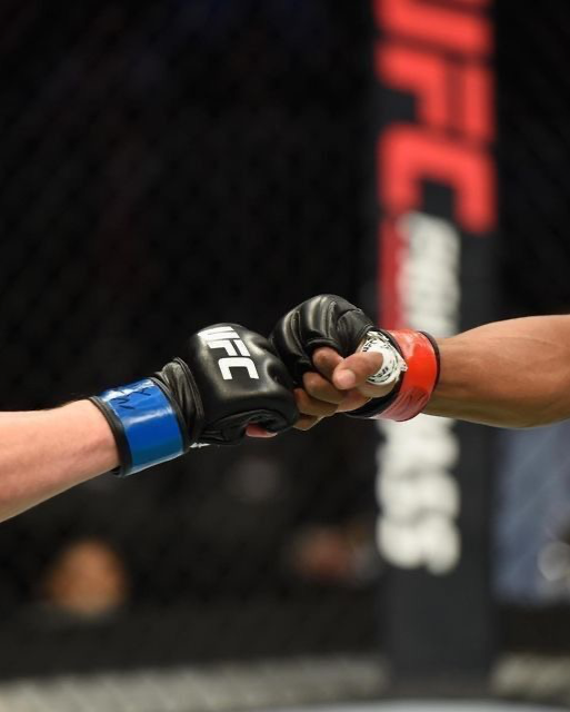 Avatar of UFC Career: Real Life RPG
