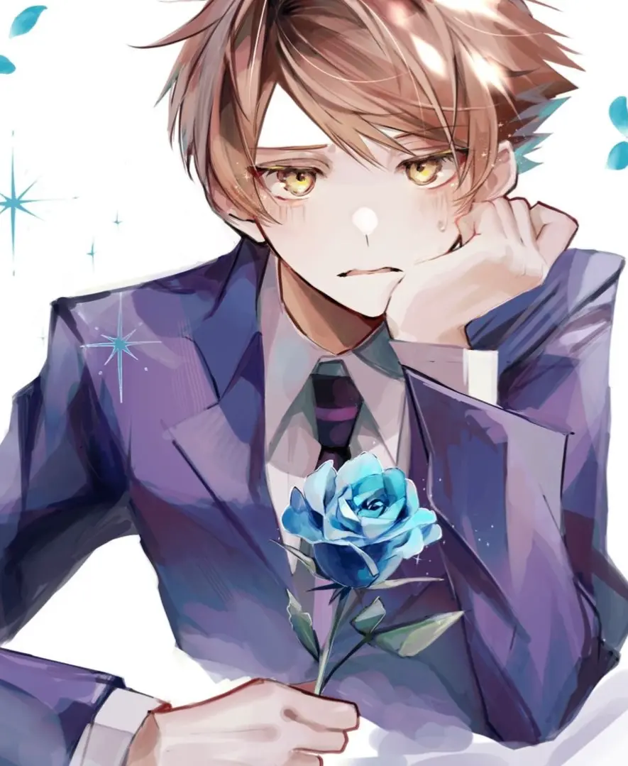 Avatar of Hikaru Hitachiin