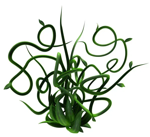 Avatar of Plantman [DOL]