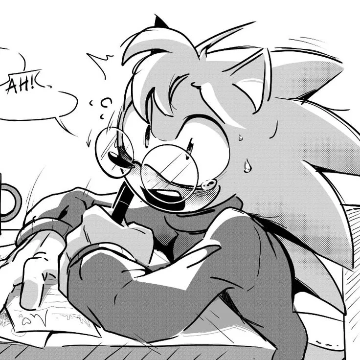 Avatar of Nicky the Hedgehog