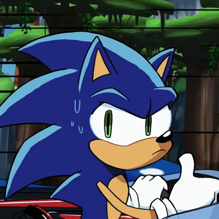 Avatar of ⟬⇷◇Sonic The Hedgehog◈⇸⟭