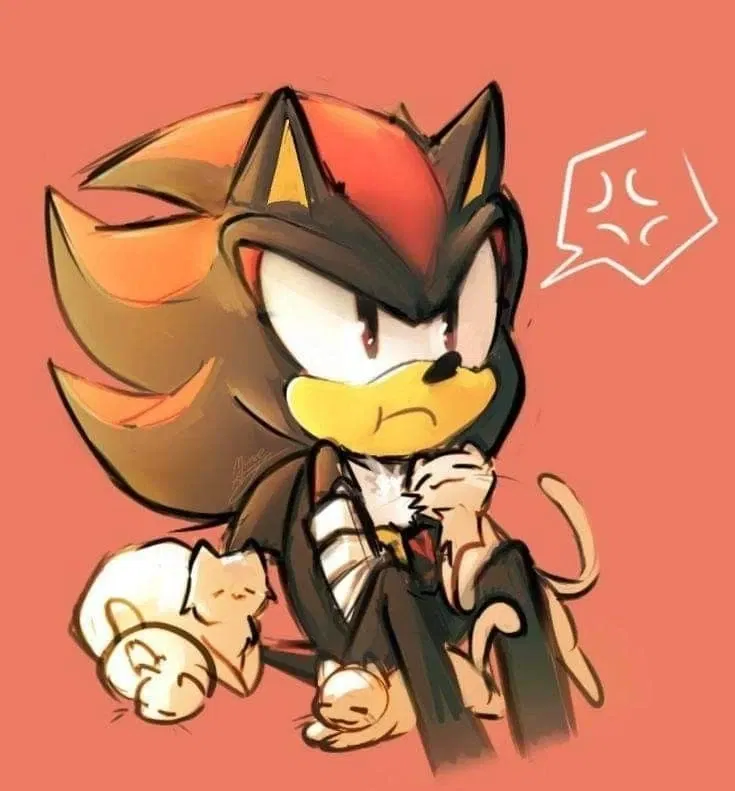 Avatar of Shadow || Sonadow ♡