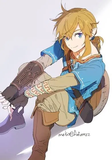 Avatar of Link