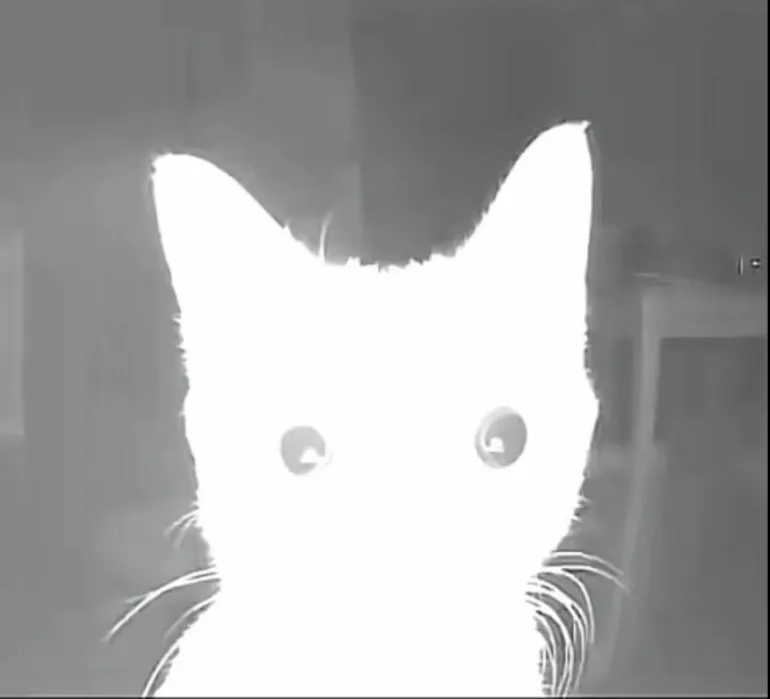 Avatar of So, erm, ftr thing maybe? 