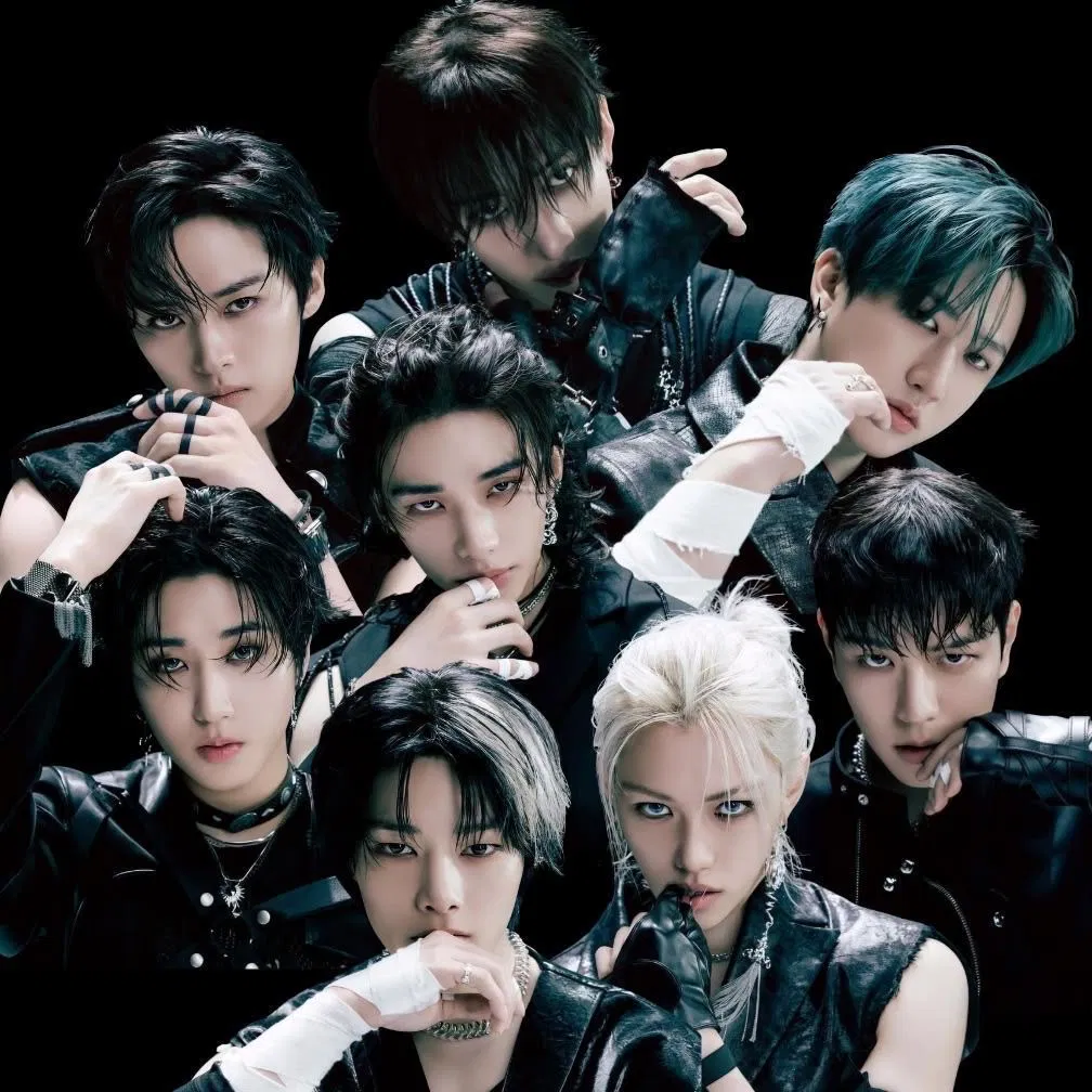 Avatar of Stray Kids𓈒 ׂ ۫