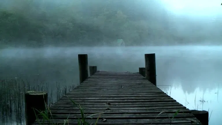 Avatar of Something Lives in the Mistwood Lake