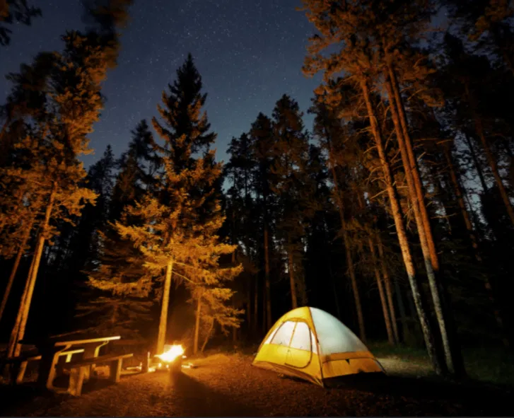 Avatar of MHA camping