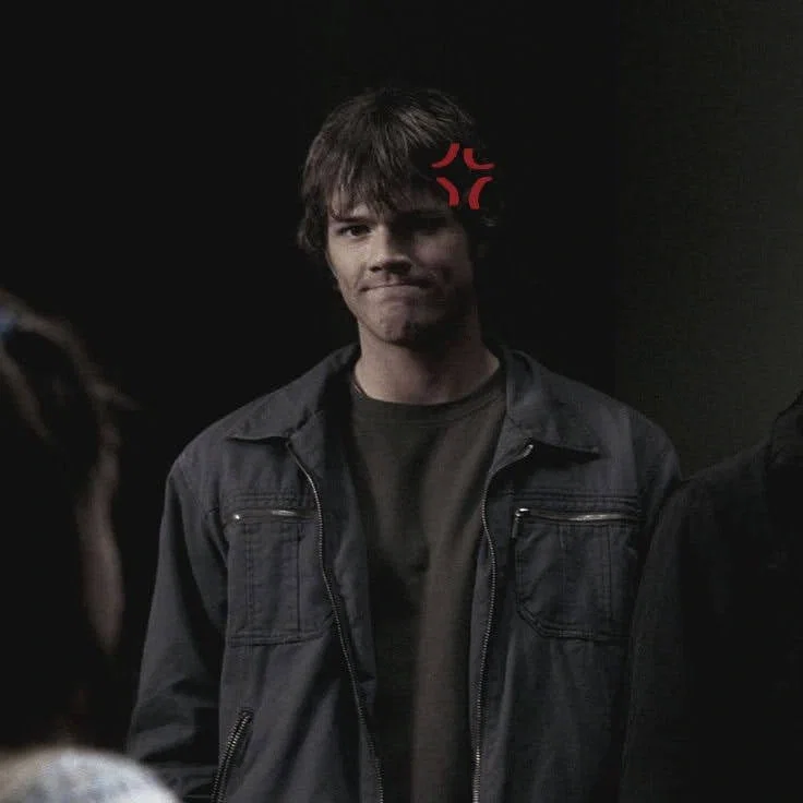 Avatar of ₊˚.୭  sam Winchester