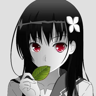 Avatar of Rea Sanka