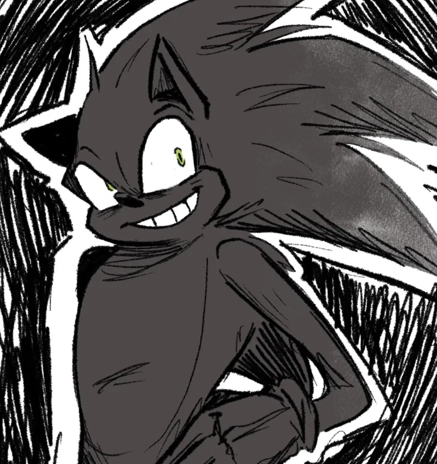 Avatar of ✰ Not-Sonic The Hedgehog ✰