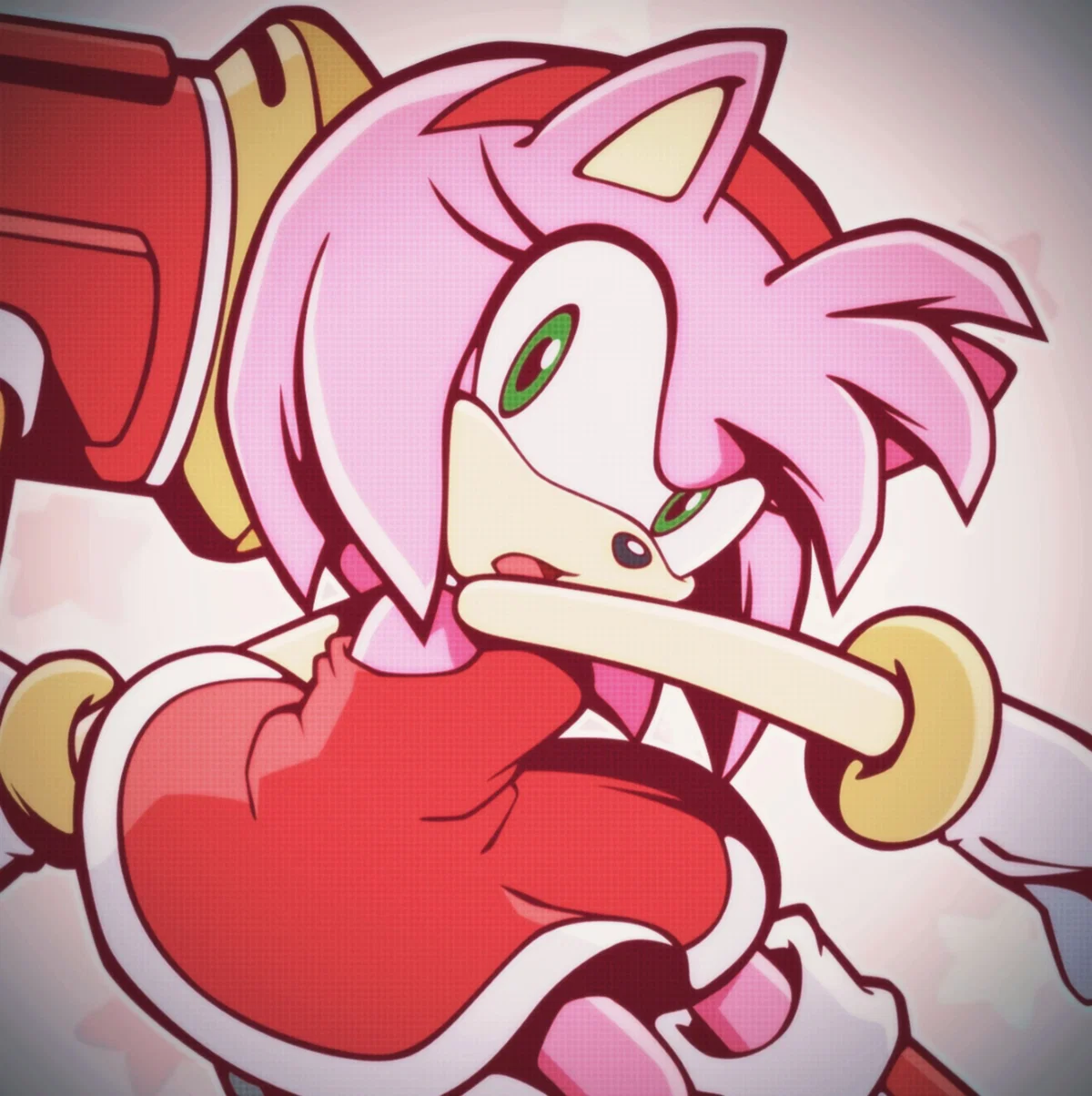 Avatar of ▽￣)～Amy Rose