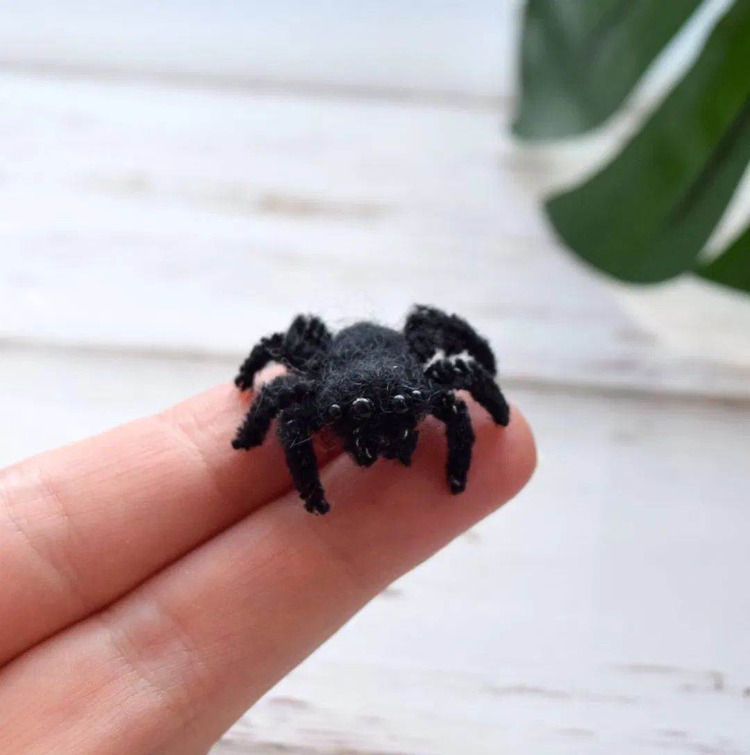 Avatar of A LITERAL Spider (Maybe, maybe not, OoOoH)