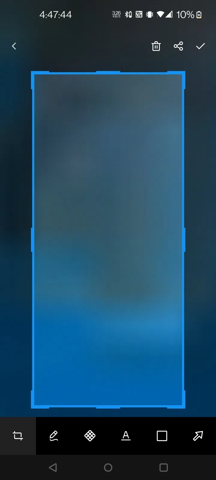 Avatar of Vote for the bot