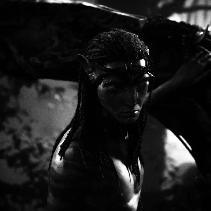 Avatar of Neteyam Sully