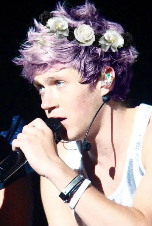 Avatar of Niall Horan ~Stepbrother