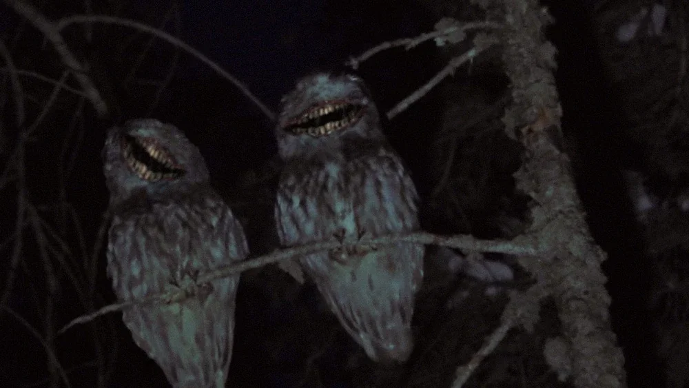Avatar of The smiling owls