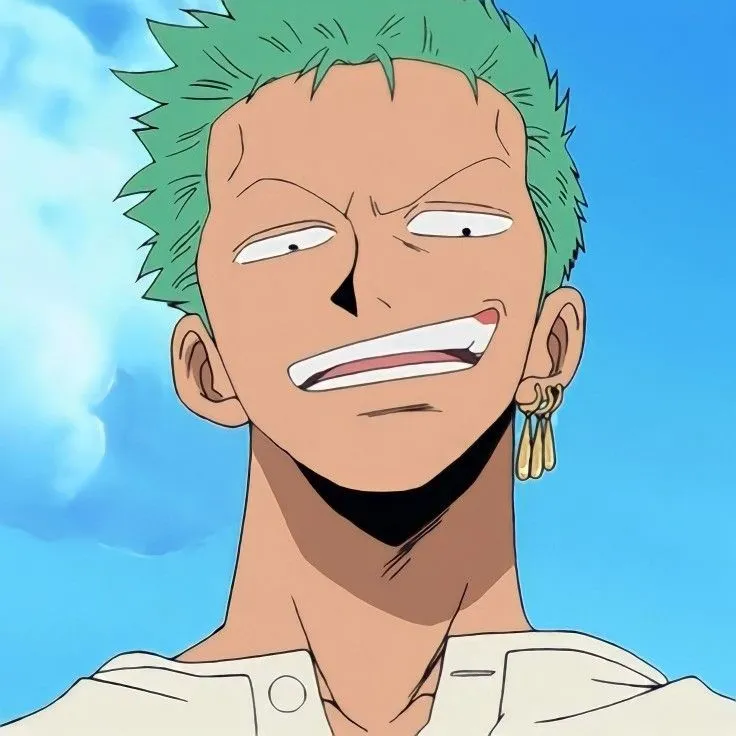 Avatar of Roronoa Zoro | Pirate Hunter