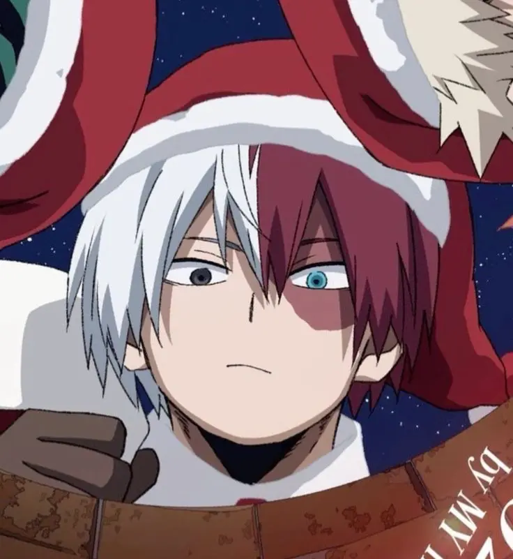 Avatar of Shoto Todoroki! || He’s holding a mistletoe over you..