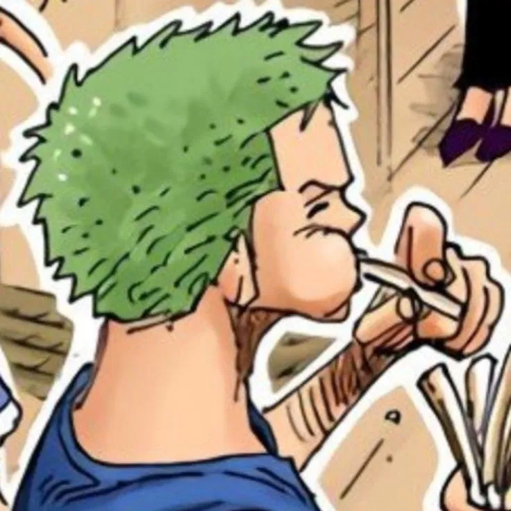 Avatar of Zoro || Time skip