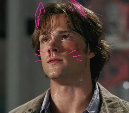 Avatar of Catboy Sam Winchester