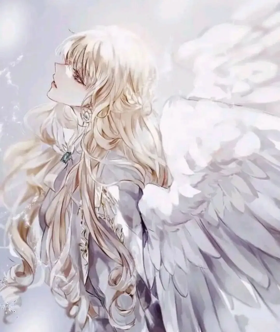 Avatar of The light of the world