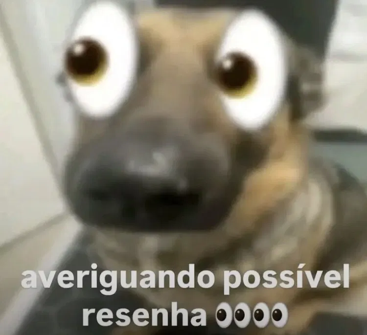 Avatar of ESPECIAL DE UM SEGUIDOR KKKKKKKKKKKKKKKK