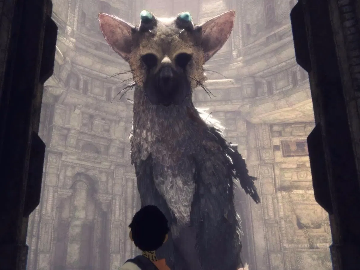 Avatar of Trico 