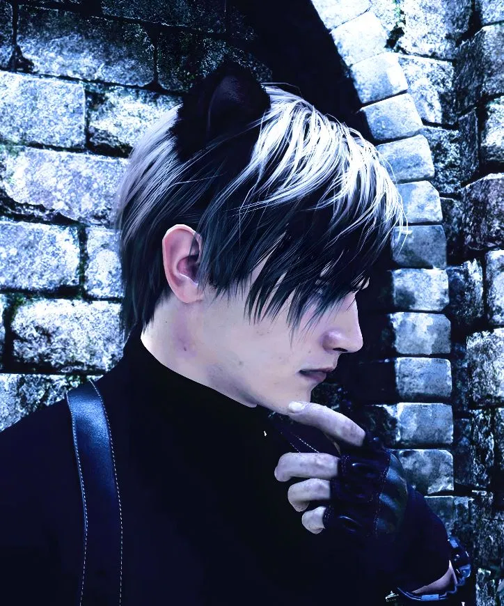 Avatar of Leon Kennedy 