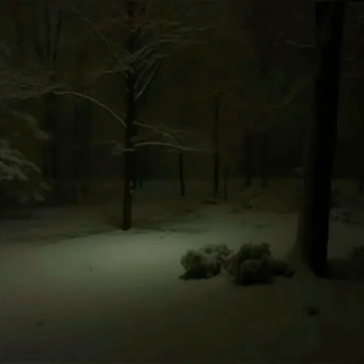 Avatar of 'Quiet' Little Cabin