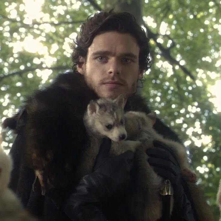 Avatar of Robb Stark