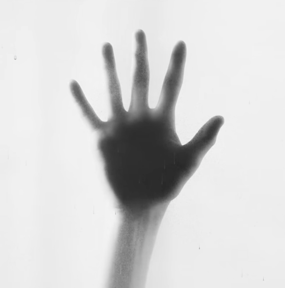 Avatar of — “YANG JUNGWON.”