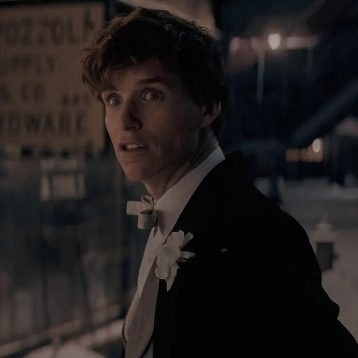 Avatar of Fantastic Beasts — Newt Scamander