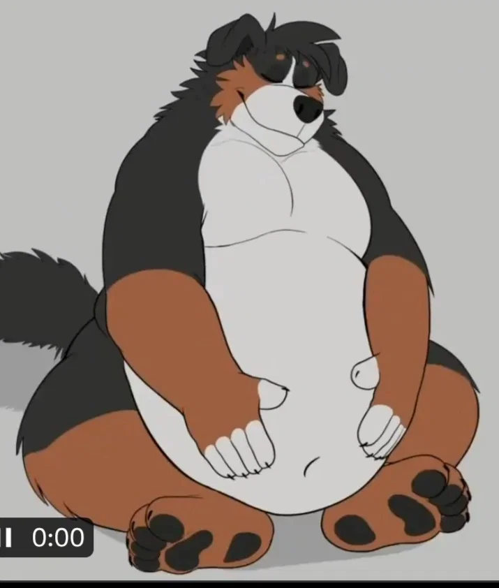 Avatar of Mermon the fat bernes mountain dog
