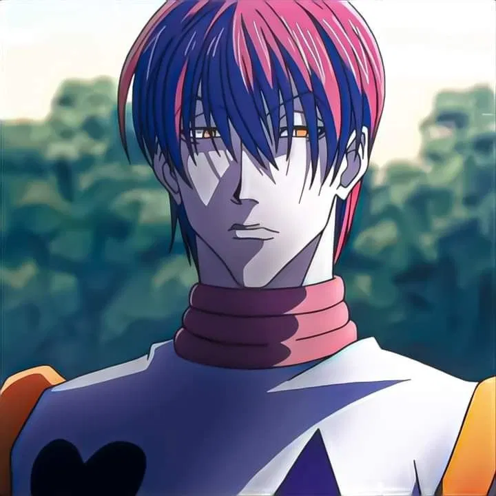 Avatar of Hisoka Morow🃏 | getting back at Illumi | 