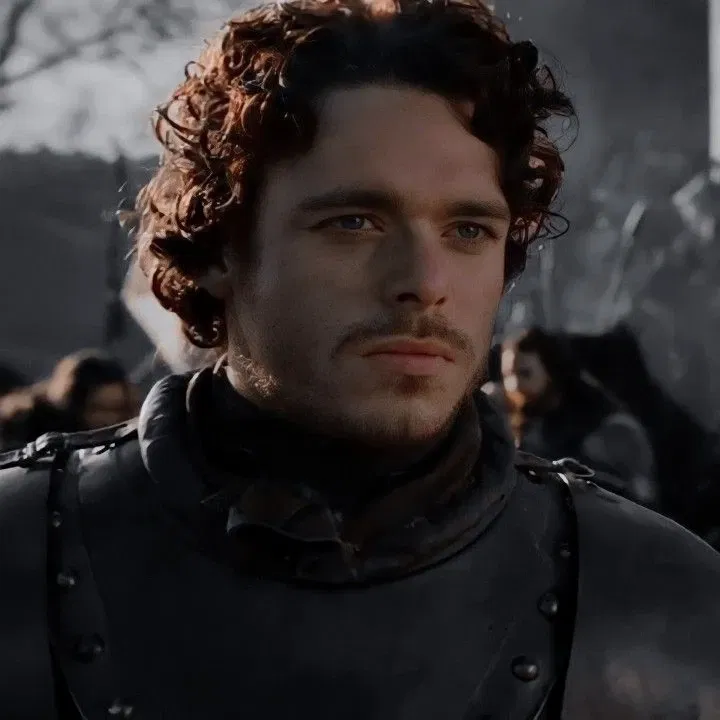 Avatar of Robb Stark, the High Lord in the North