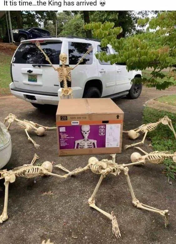 Avatar of Request a Bot with Skeletons