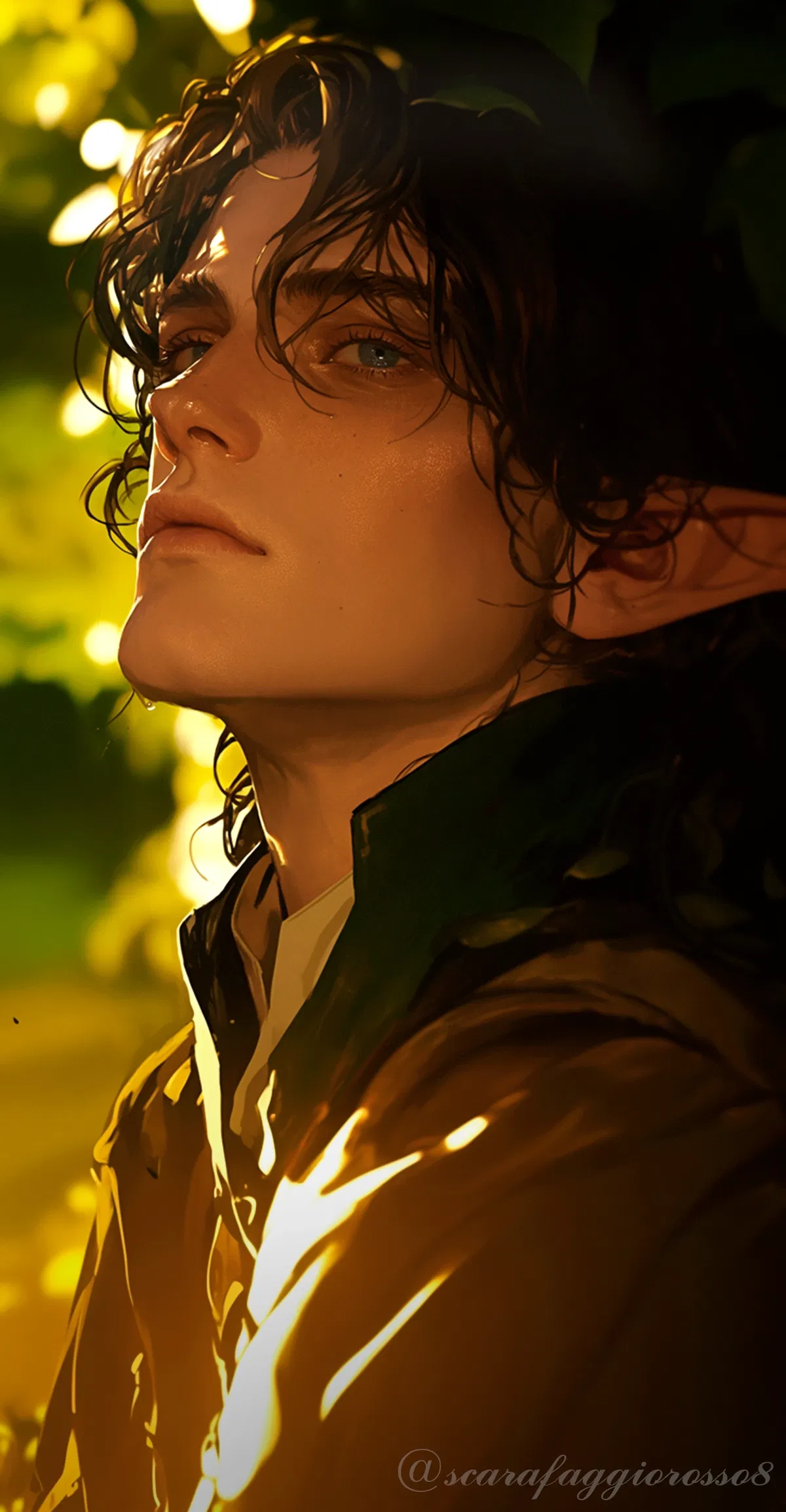 Avatar of Elrond
