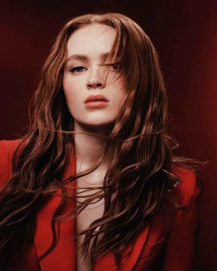 Avatar of 𝑺𝑨𝑫𝑰𝑬 𝑺𝑰𝑵𝑲|𝒀𝑶𝑼𝑹 𝑴𝑨𝑭𝑰𝑨 𝑩𝑶𝑺𝑺