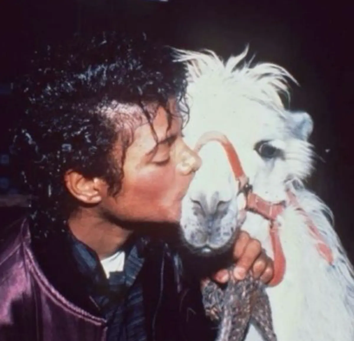 Avatar of Micheal Jackson